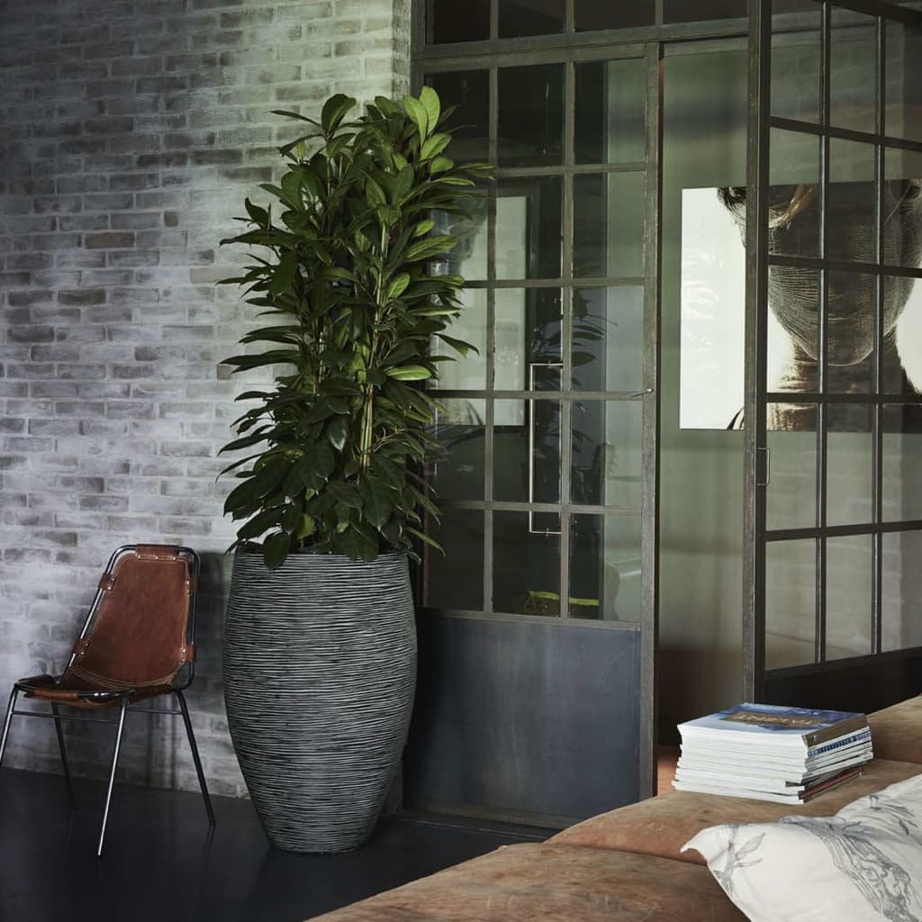 8716443074578_m_en_hd_1 8716443074578 m en hd 1